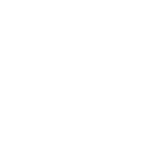 STEGMÜLLER | THE IT-PROFESSIONALS